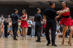 ND6_6175
