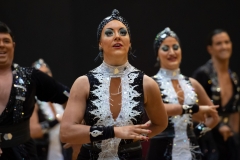 D4S_9767