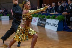 NZ6_7751